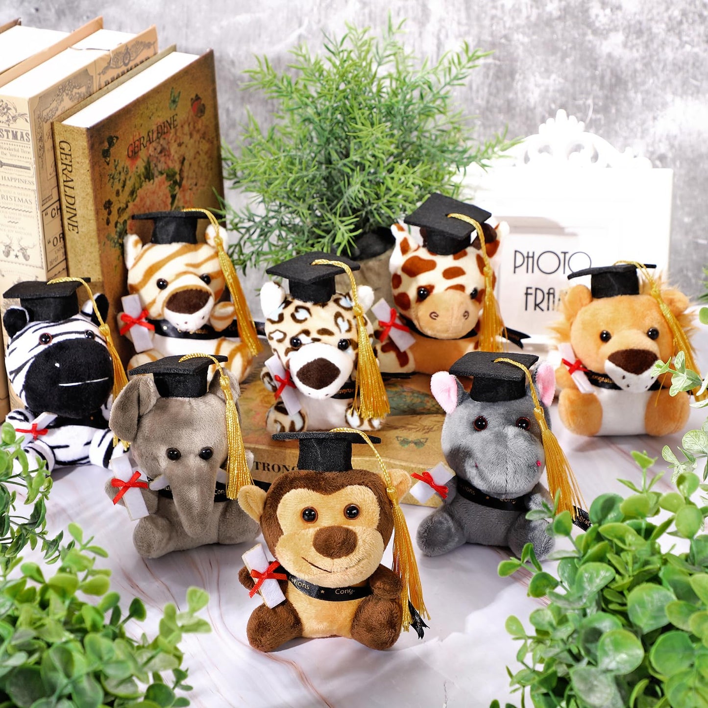JUMPING EARS 16 Pieces Graduation Jungle Animal Plush Toys 4.8 Inch Mini Stuffed Forest Animals Set Stuffed Jungle Animal with Graduation Cap for Kindergarten Graduation Gift School Parties